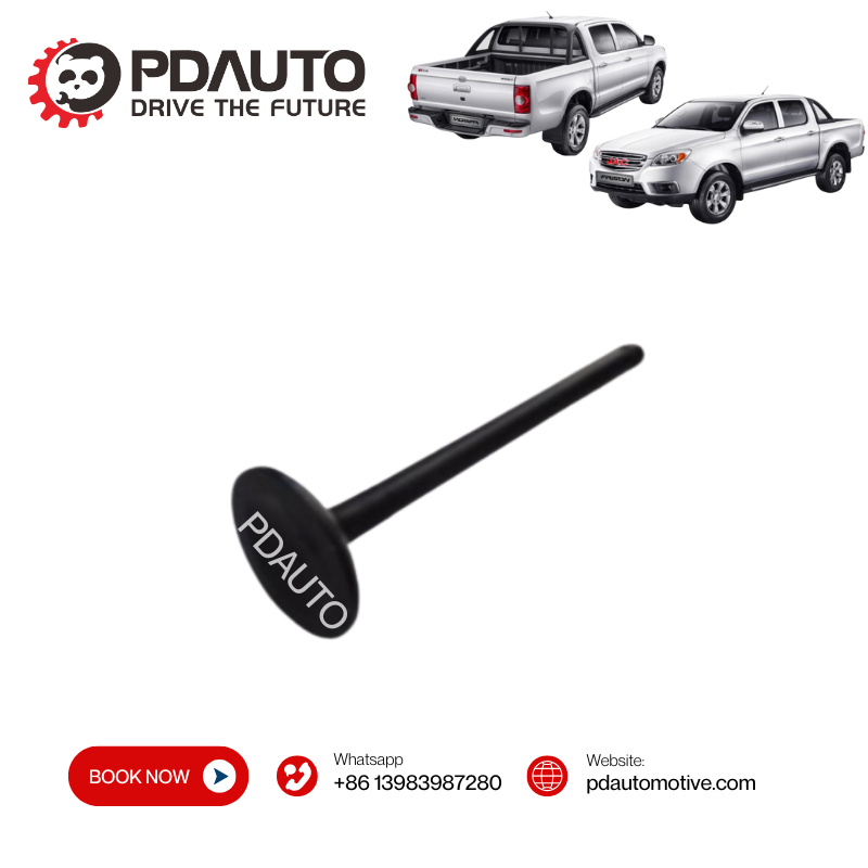 1003201GA 1003202GA JAC T6 2.0L HFC4GA3-3D exhaust intake valve china supplier